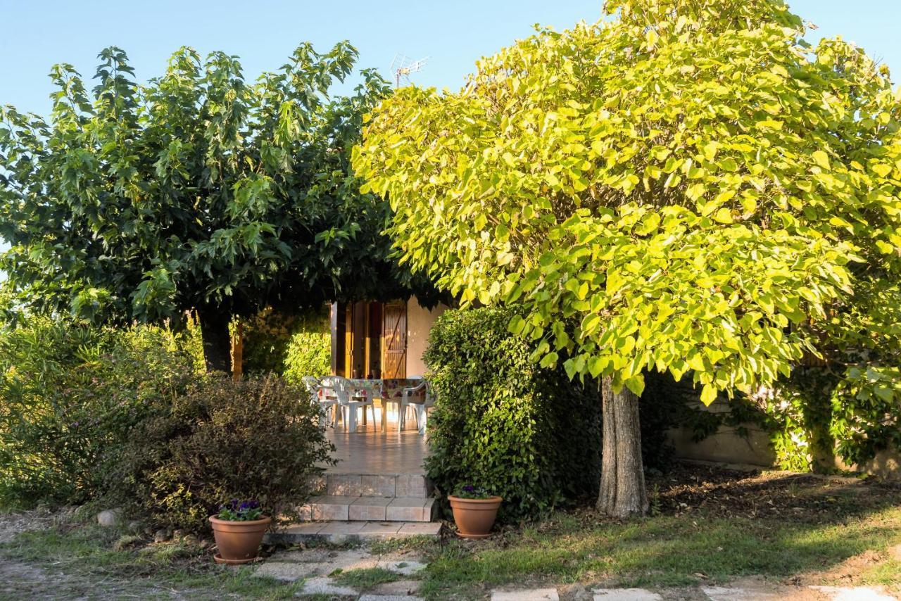 Le Violet Bed & Breakfast Gaillac Exterior photo